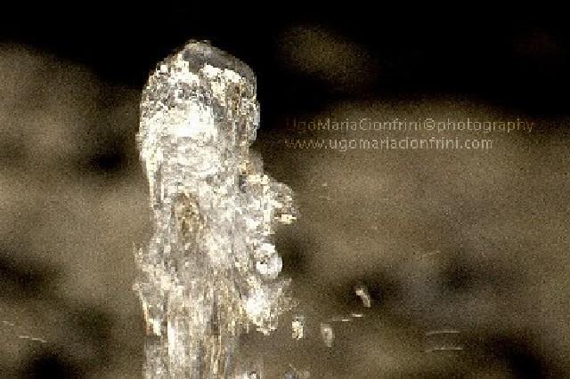 witch ... hydrocephalus