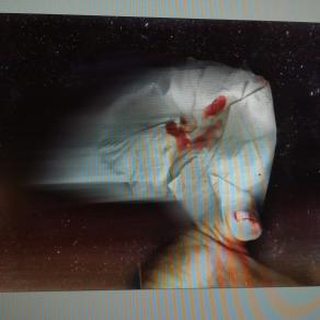 È arrivata la primavera. Una brezza Sventola la mia bandiera. 