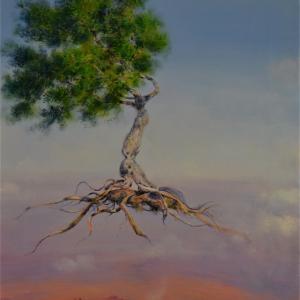 Il silenzio della coscienza Il silenzio della coscienza