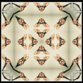 Di nuovo 3 volte Moana