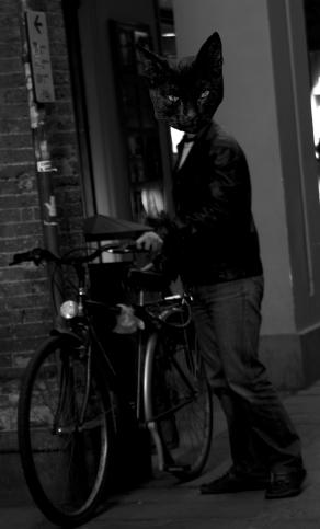 Black Cat collection