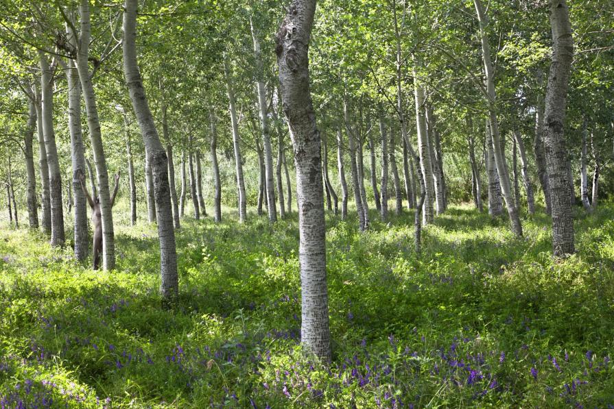 Uno di loro (Appartenenza) Uno di loro (Appartenenza)