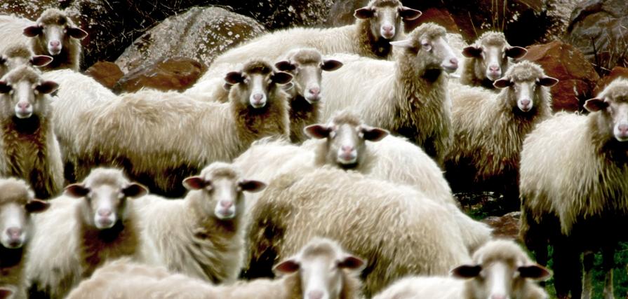 The people looking at you ...