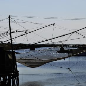 evening on earth / 2013