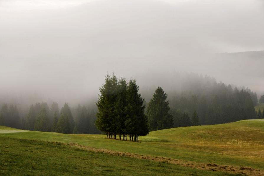 Altopiano del Cansiglio