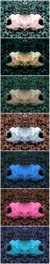 Hands Polychromatic n.1