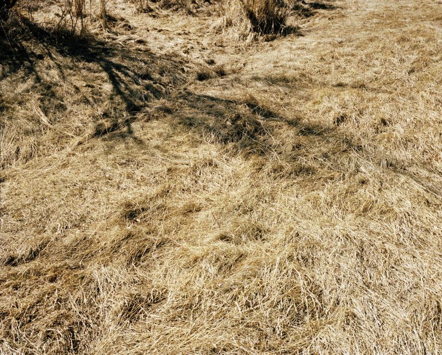 ALong Silent Paths ALong Silent Paths