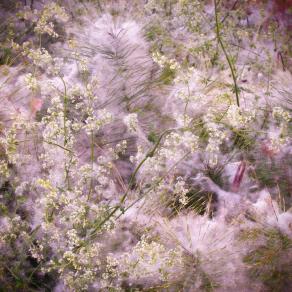 Leggera come il dolce vento dei ricordi