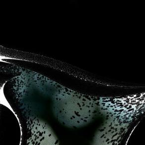 Lo stato quiescente del nuovo essere 