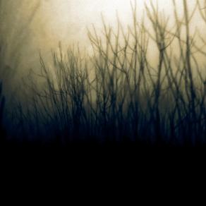 La paura è là dove non si ha il coraggio di vedere 