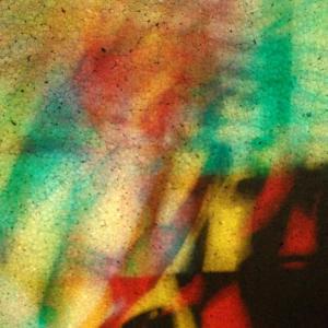 I colori della biodiversità -2015