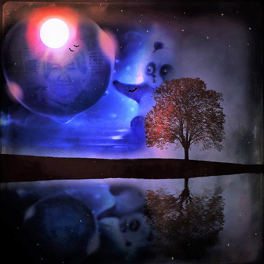  ho perso un'altra lotta !!!