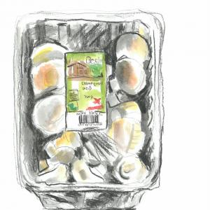 Der Kunstmarkt / Pilze /1,79€ Der Kunstmarkt / Pilze /1,79€