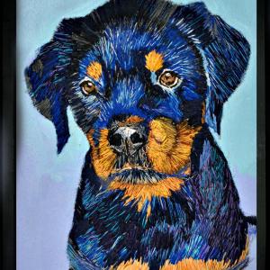 “Volti e Ris-Volti” – “Faces and Implications”.