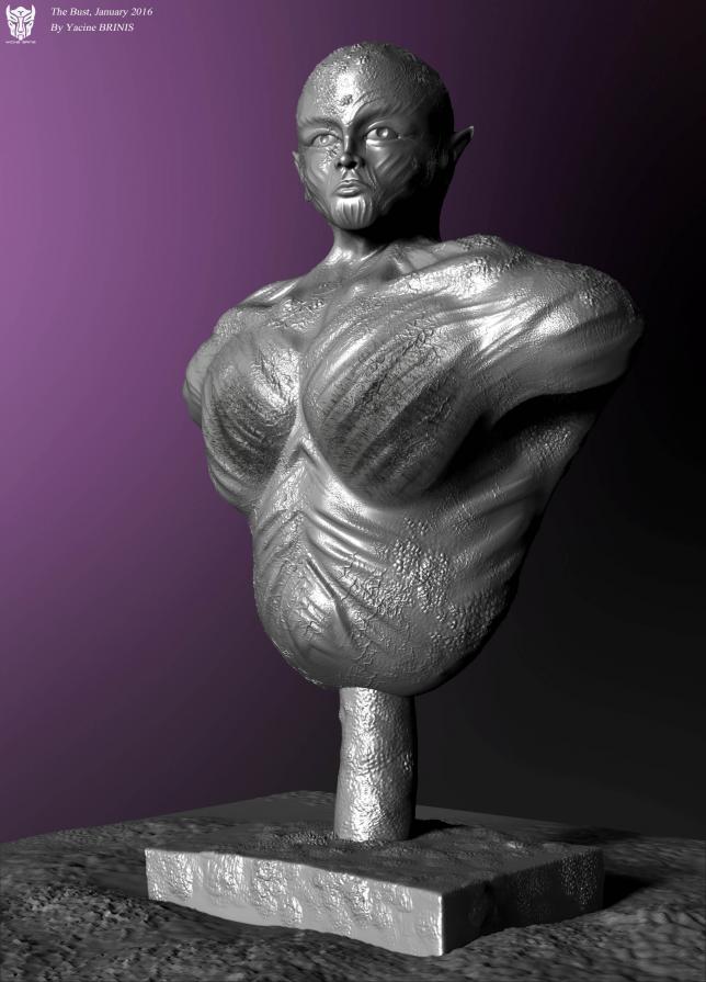 The Bust By Yacine BRINIS 2016 View 09