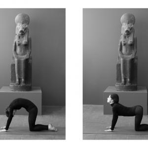 We-fit, 2014 cat-cow posture by Sabine Gottfried We-fit, 2014 cat-cow posture by Sabine Gottfried
