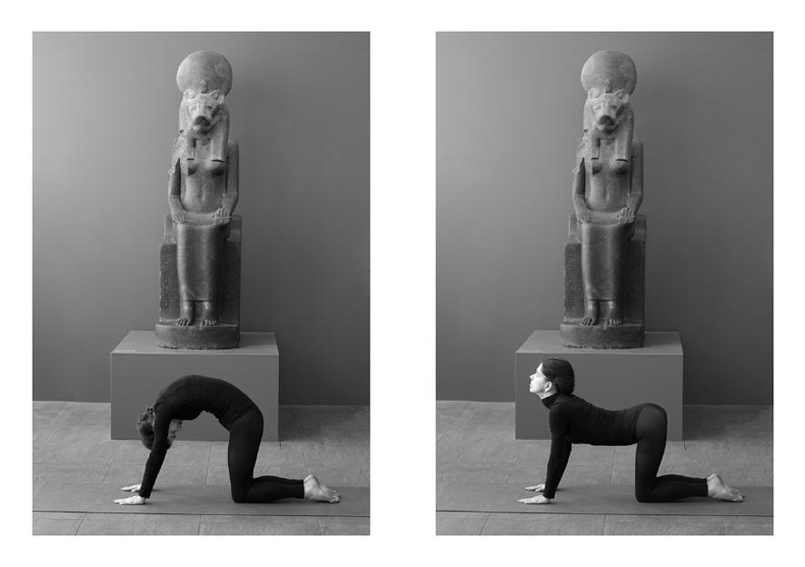 We-fit, 2014 cat-cow posture by Sabine Gottfried