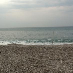 Un mare di malinconia