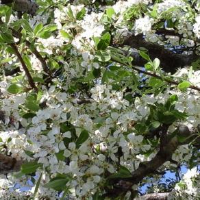 GRAZIE DI CUORE CARA MARIA MADDALENA SPOSITO ... SONO MERAVIGLIOSI !!!! <3 