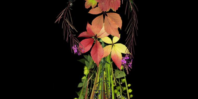 Nature's Best Photography Nature's Best Photography