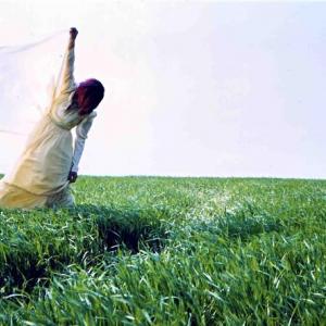 Fiori fantastici ed angeli ribelli