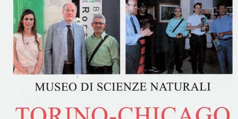 NETWORK: FROM TURIN TO CHICAGO AND VICE-VERSA