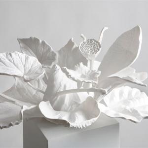 Naturacultura - Il potere modellante della parola