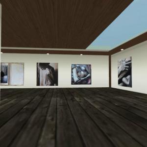 Valentina Franceschi Mostra Virtuale online