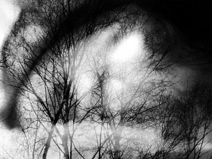 My body landscapes My body landscapes