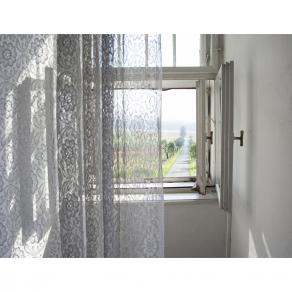 germania est. presente remoto