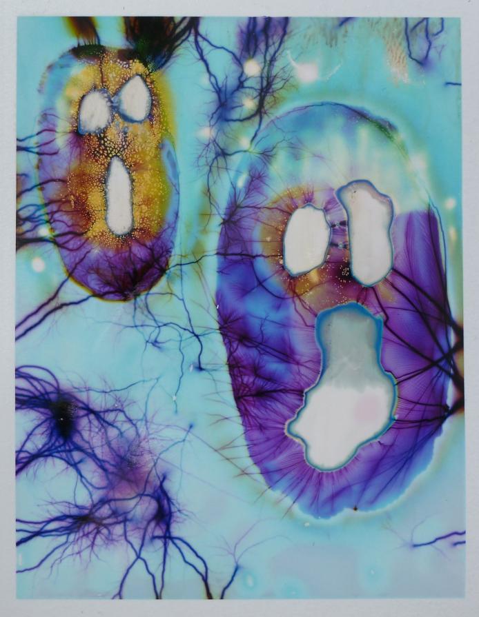 'Our souls captured in the electromagnetic field' (No. 3) 'Our souls captured in the electromagnetic field' (No. 3)