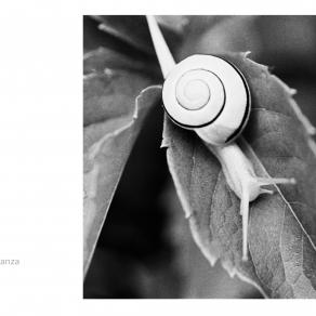 Abbecedario - Importanza