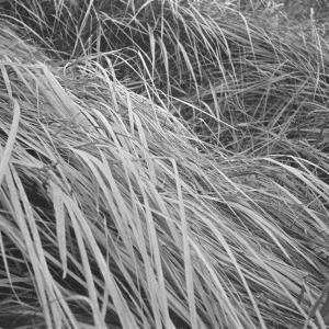 Between Worlds Between Worlds