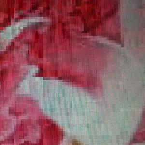 I never saw him again