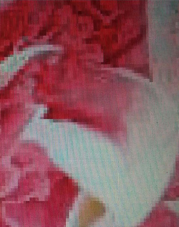 I never saw him again