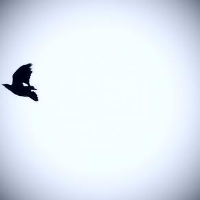 Con il vento a favore... 