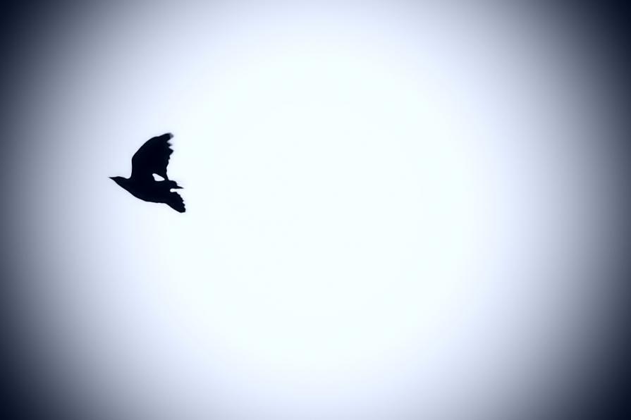 Con il vento a favore... 