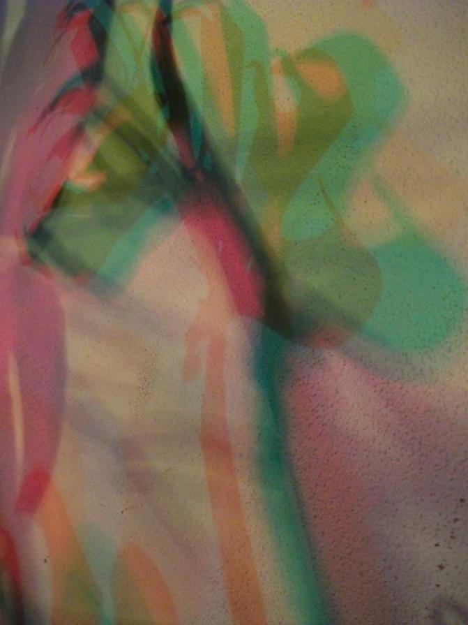 I colori della biodiversità -2015