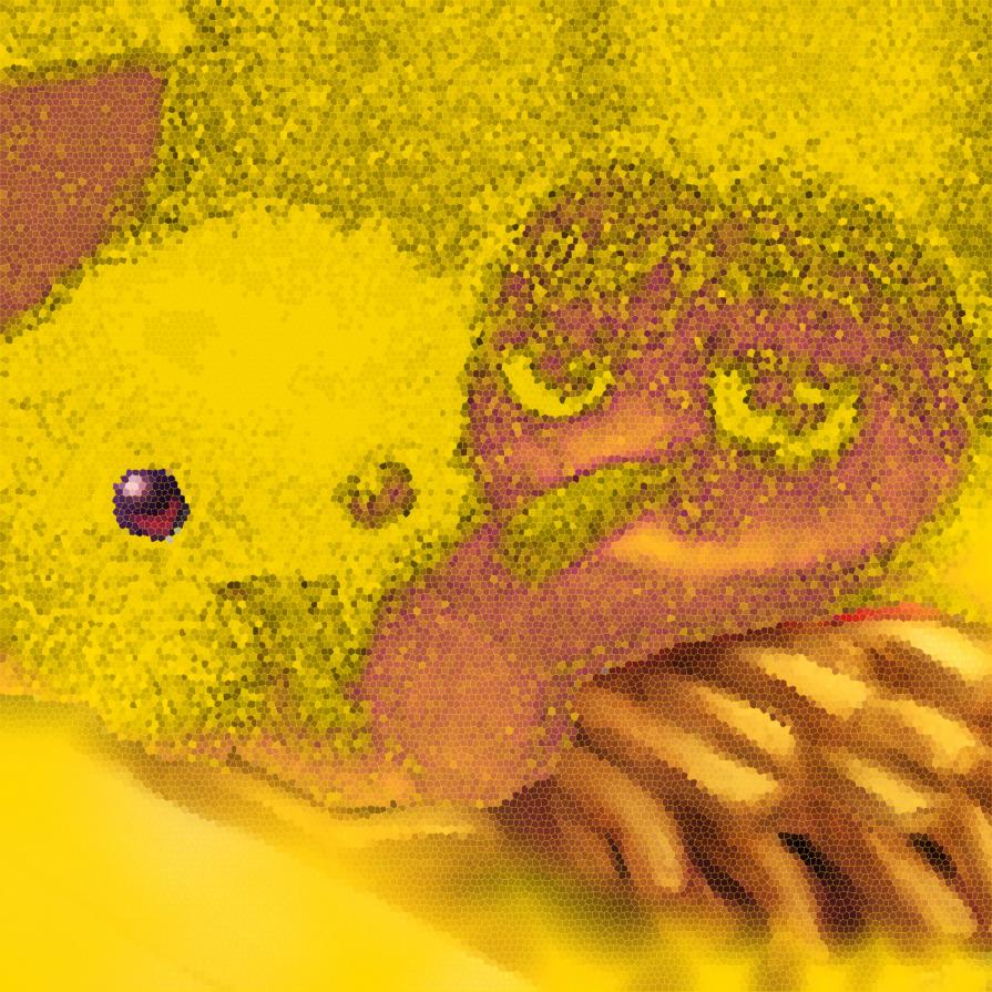 . . . Il dottor Dieta, il dottor Quiete e il dottor Gioia sono i migliori medici del mondo !!! . . .