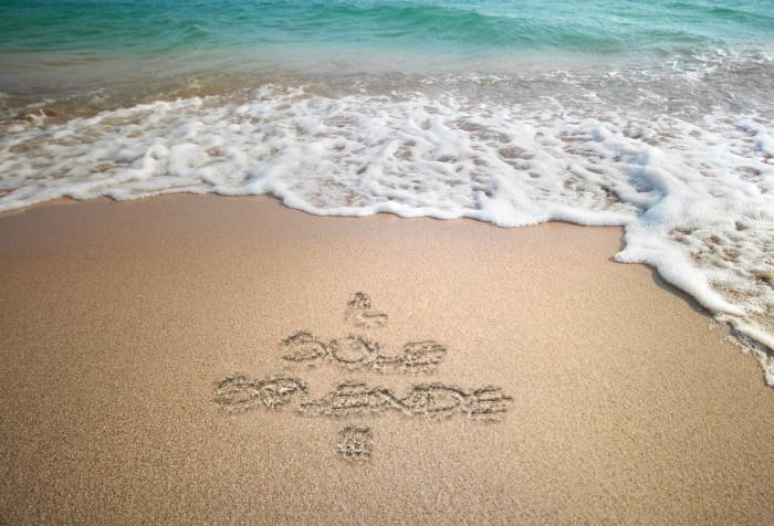 . . . CHE FAREI !!! . . . 