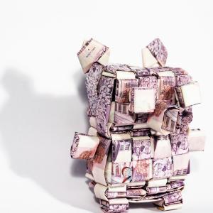 The Piggy Banker The Piggy Banker