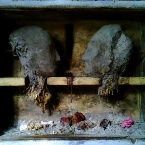 "et quod vides perisse perditum ducas"(G.V.Catullo,CarmeVIII,v2)