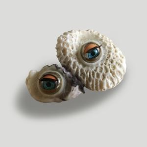 Memento Corallium- Ocean eyes