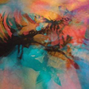 I COLORI DELLA BIODIVERSITÀ