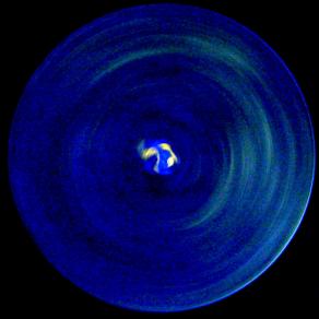 Letizia Ardillo- Gal