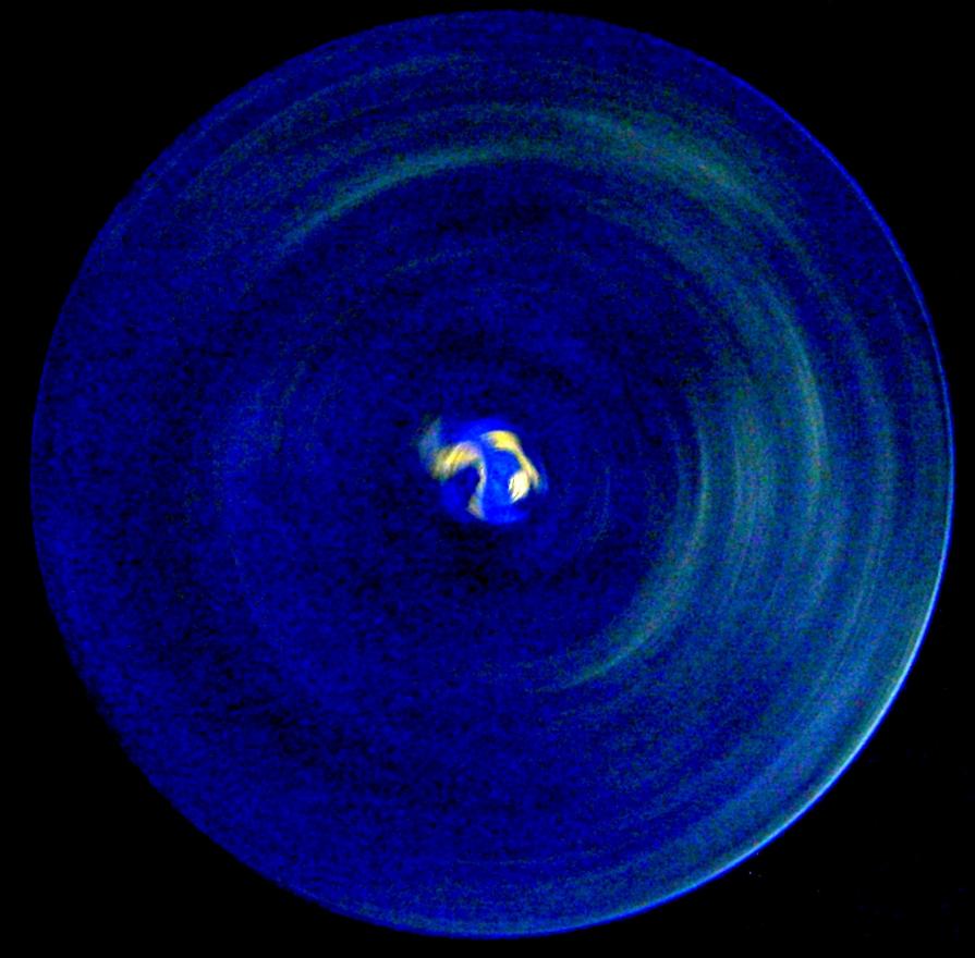 Letizia Ardillo- Gal Letizia Ardillo- Gal