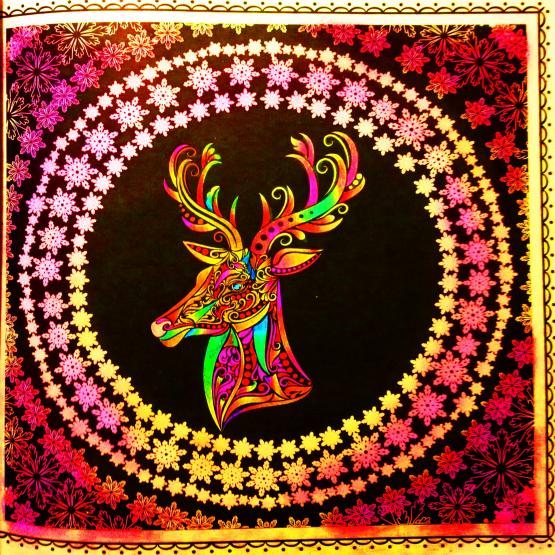 At Christmas, all roads lead home...!!! At Christmas, all roads lead home...!!!