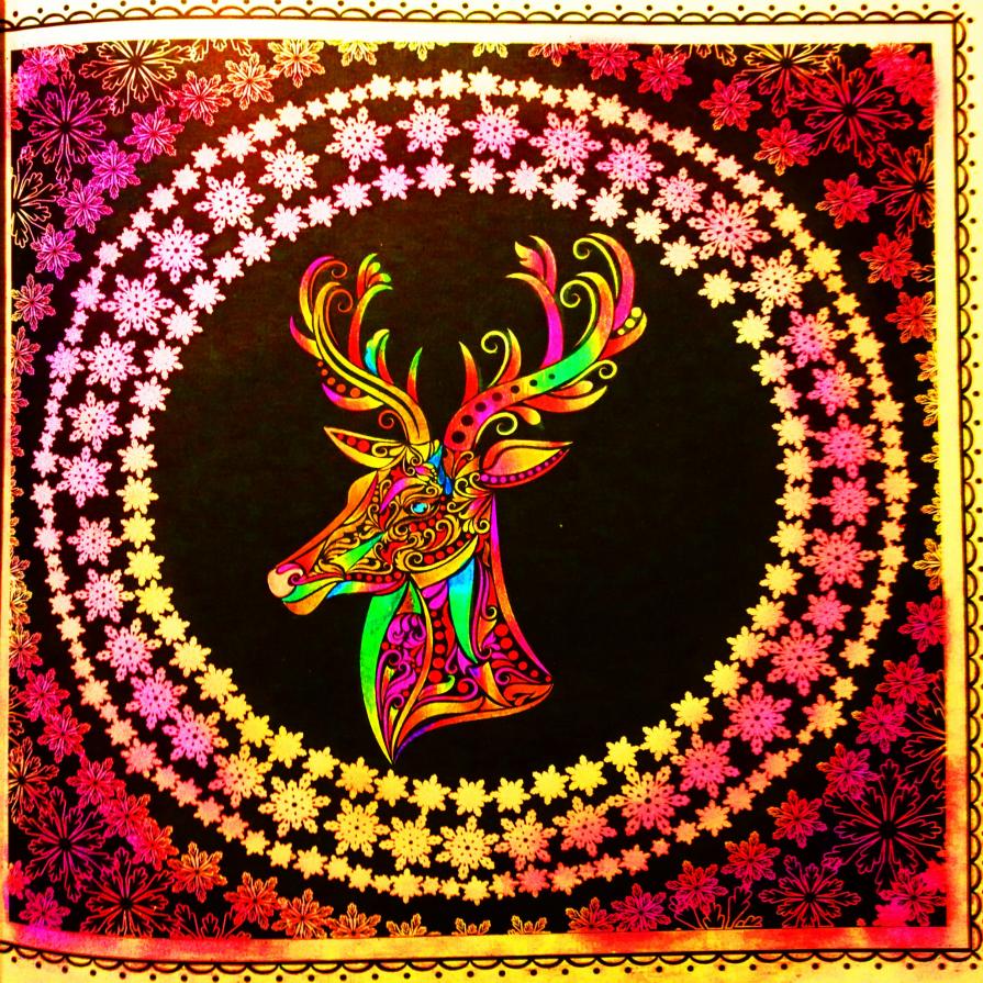 At Christmas, all roads lead home...!!!