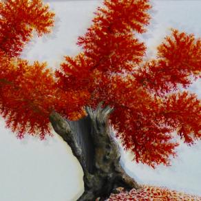 Resilienze…    Alberi nella stagione del coronavirus