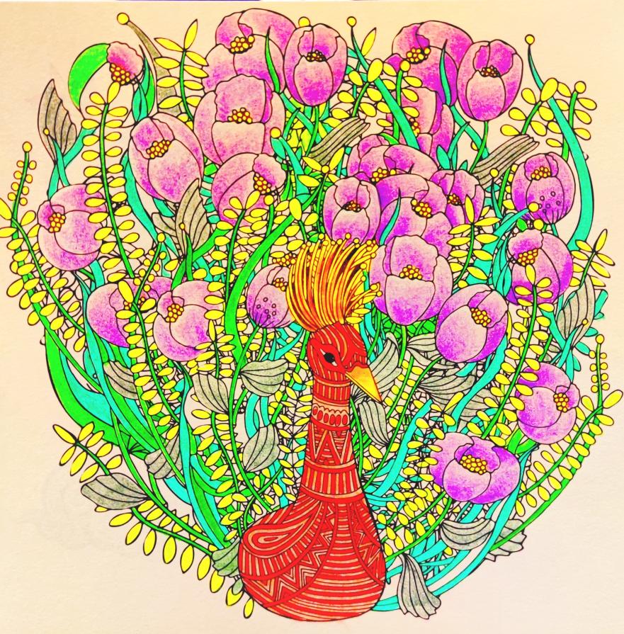 “Il pavone, un dipinto in movimento, danza nelle sfumature dell’arcobaleno.”…!!!